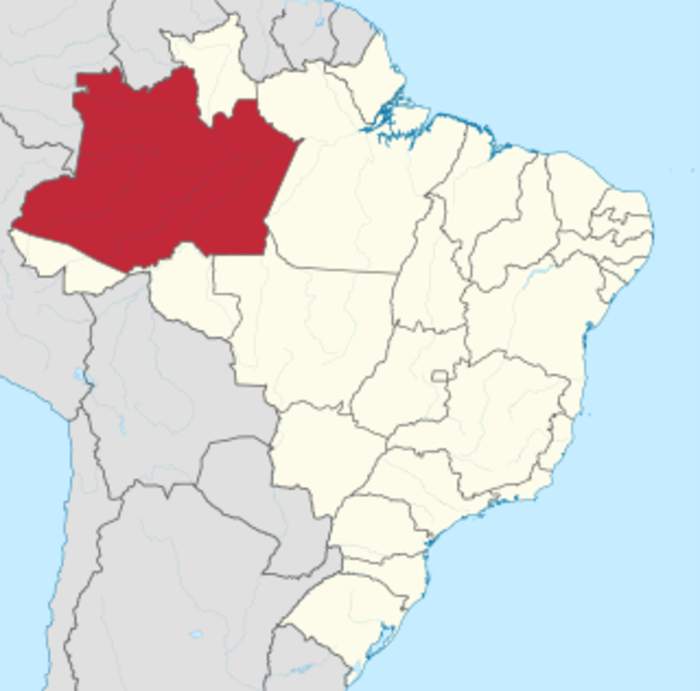 Amazonas (Brazilian state)