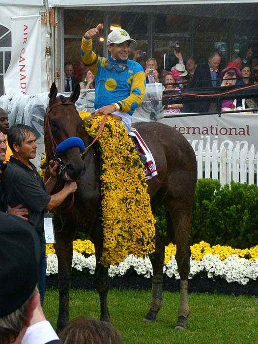 GoPro footage captures what it's like to ride American Pharoah