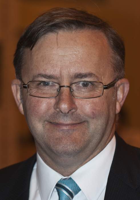 Anthony Albanese says future of cabinet minister at centre of historical rape allegation is up to the prime minister