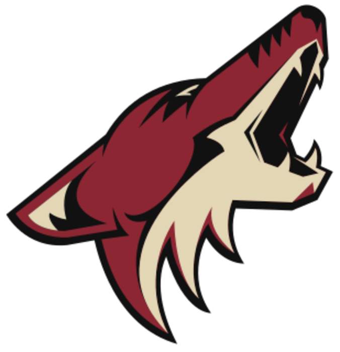 Arizona Coyotes forward Boko Imama speaks out about Ukraine incident, racism in hockey