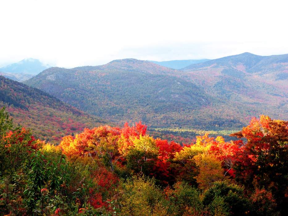 Foliage fans flock to the Northeast