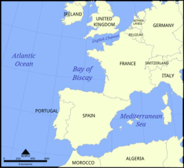Bay of Biscay: France temporarily bans fishing to protect dolphins
