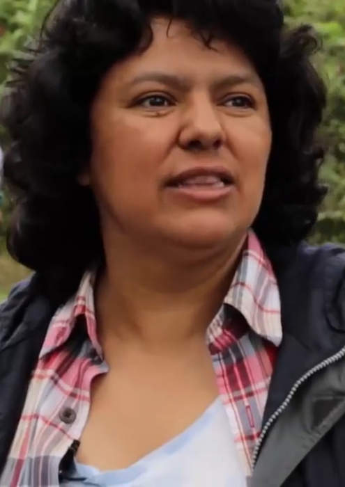 Berta Cáceres: Ex-dam boss given 22 years for planning Honduran activist's murder
