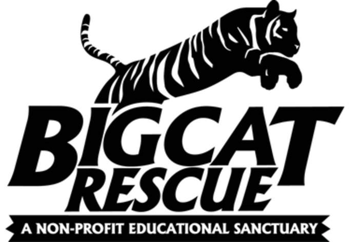 Person hospitalized with 'serious' injury from tiger bite at Carole Baskin's Big Cat Rescue