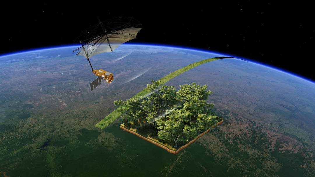 Biomass (satellite)