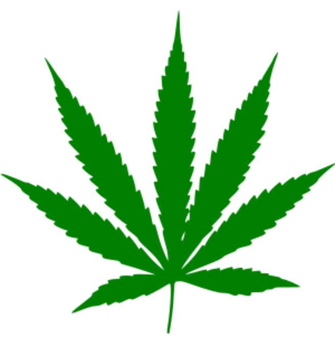 Blunt (cannabis)