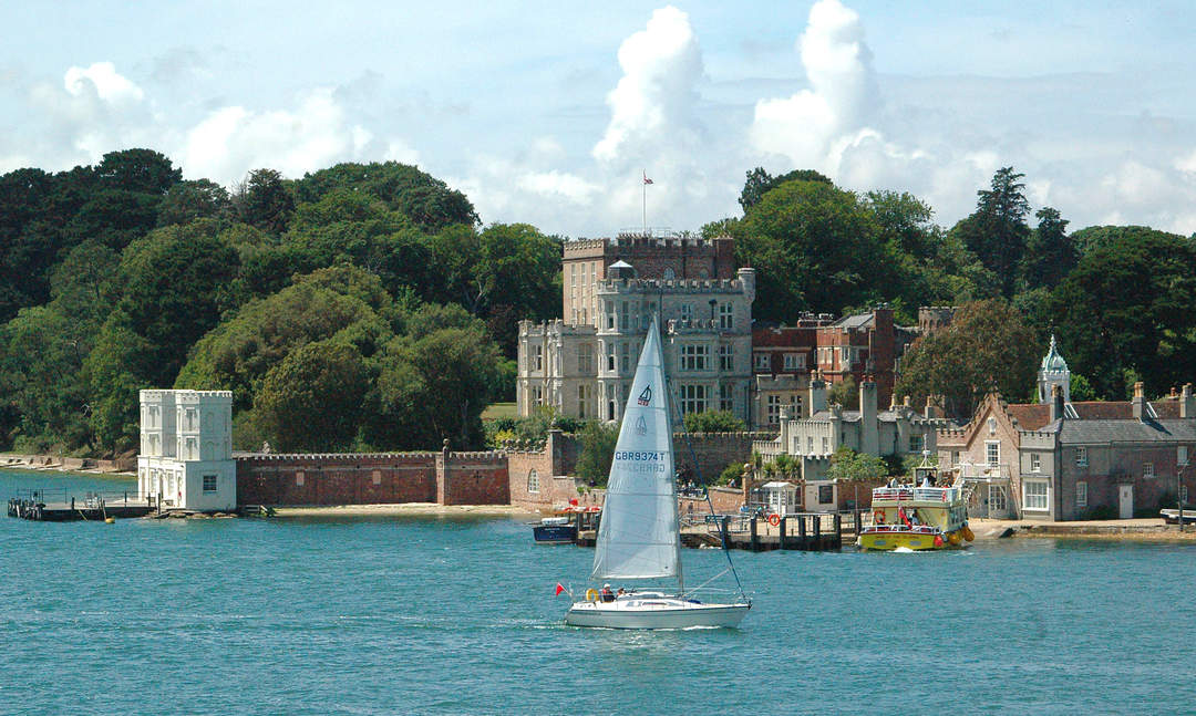 Brownsea Island: Bird flu confirmed after 600 birds found dead