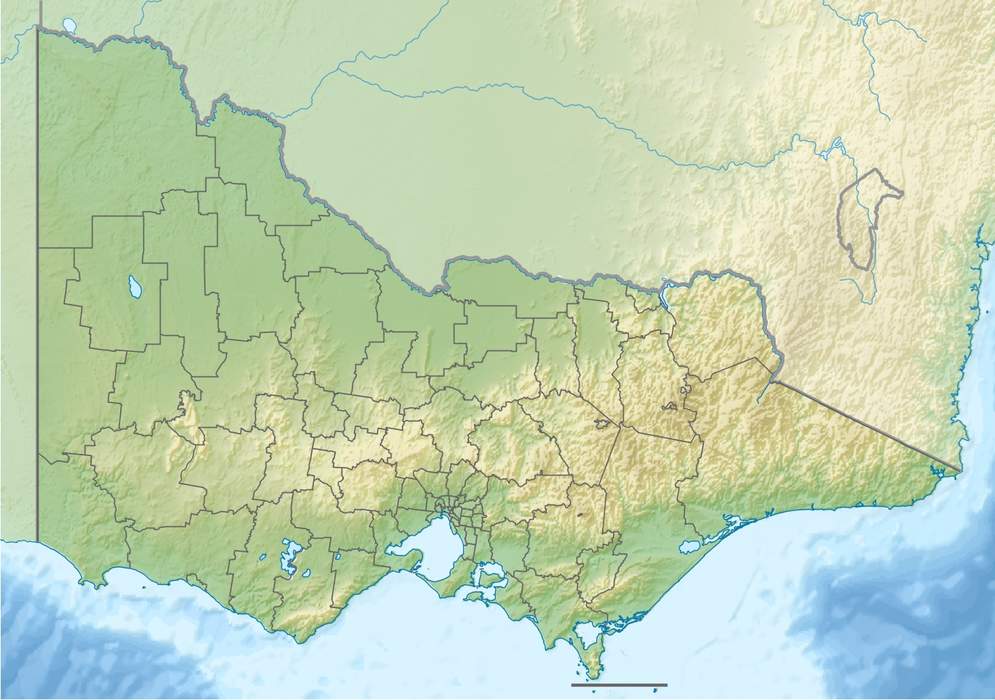 'A very special day': Indigenous elder welcomes World Heritage listing of Aboriginal site Budj Bim