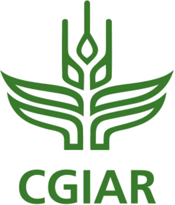 CGIAR forge partnership with ISF to improve farmers' access to quality seed, innovation