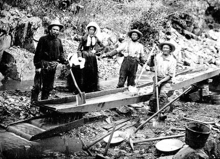 California gold rush