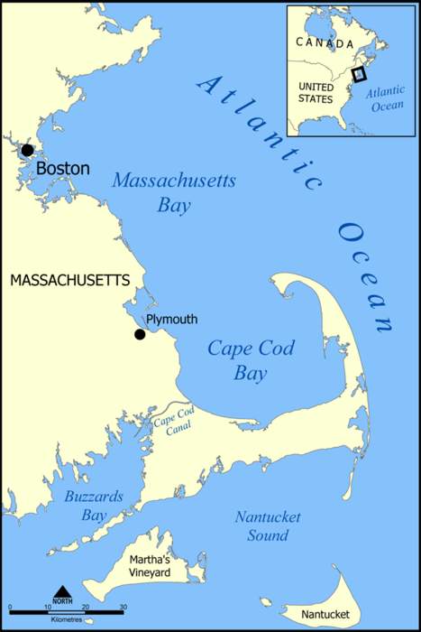 Up to 70 North Atlantic right whales were spotted in Cape Cod Bay