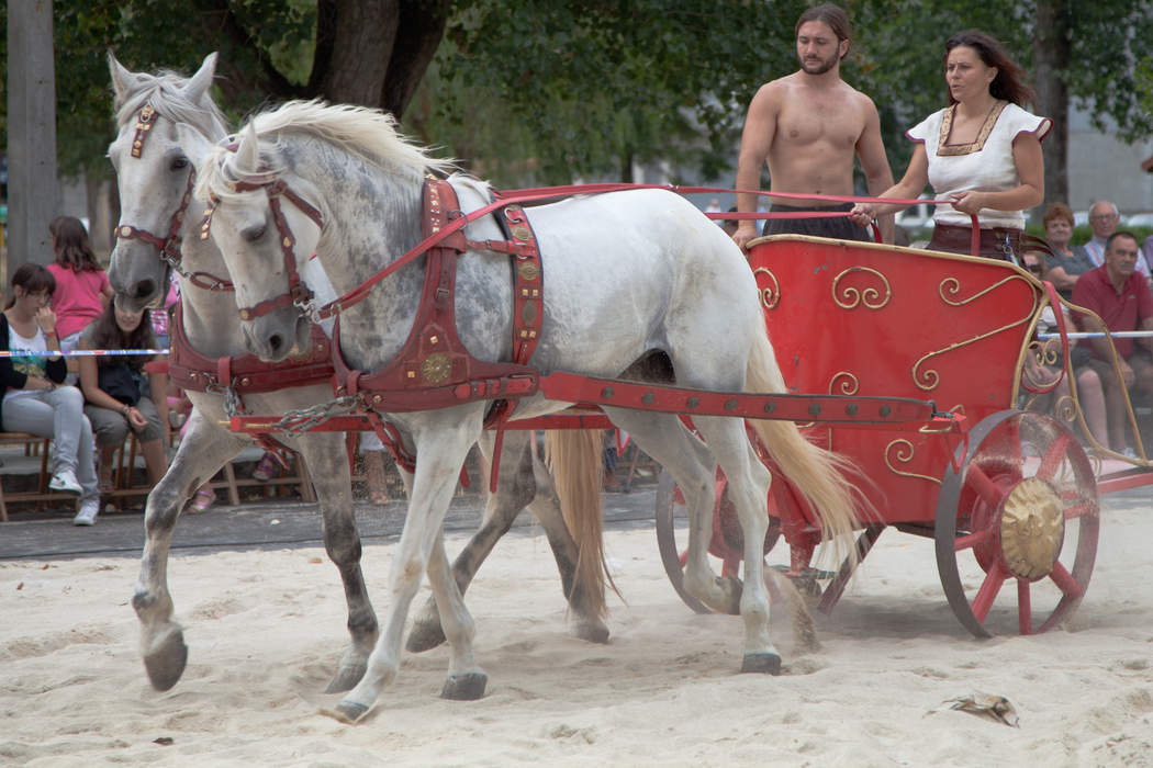 Chariot