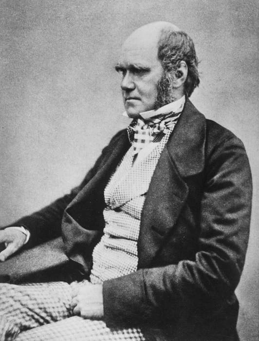 A glimpse of Charles Darwin's 'paradise'