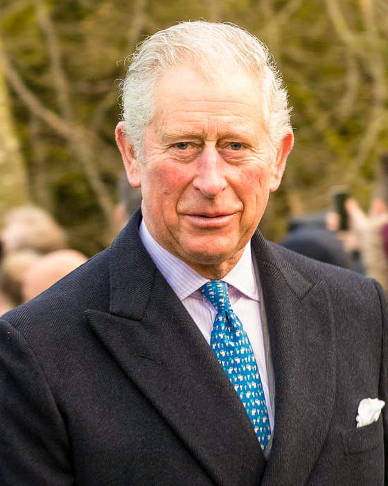 Prince Charles Asked About Skin Color of Harry and Meghan's Baby, New Book Claims