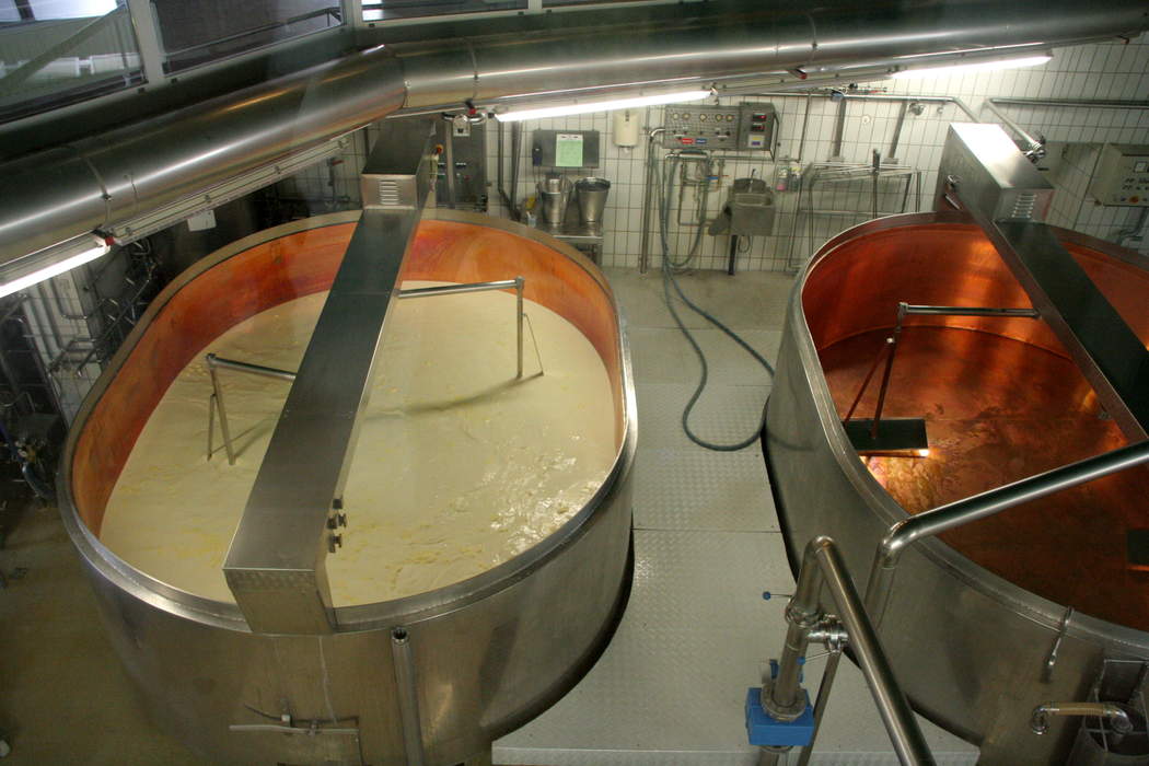 'Cheesemaker's dream' as Snowdrop wins top award