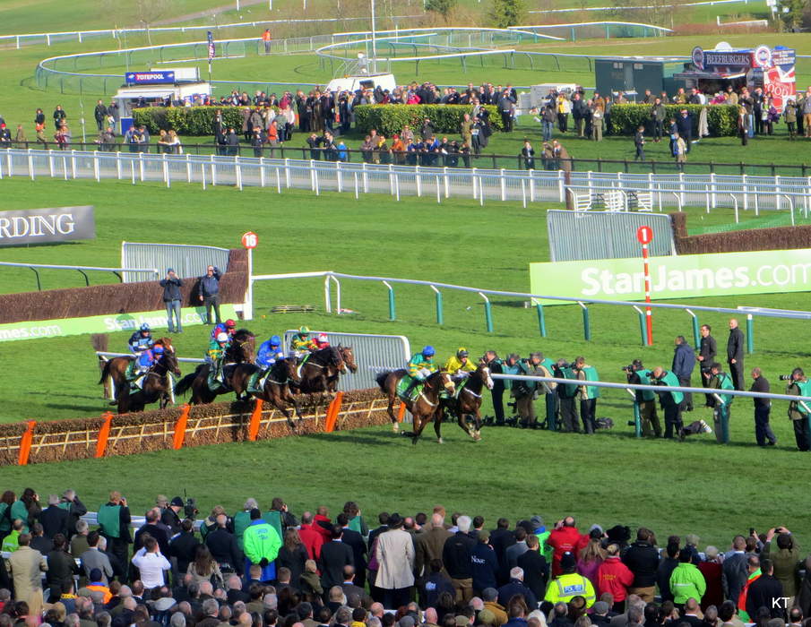 Two horses die during first day of Cheltenham Festival