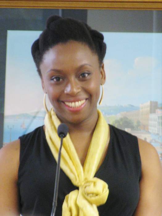 Chimamanda Ngozi Adichie: ‘I want to say what I think’