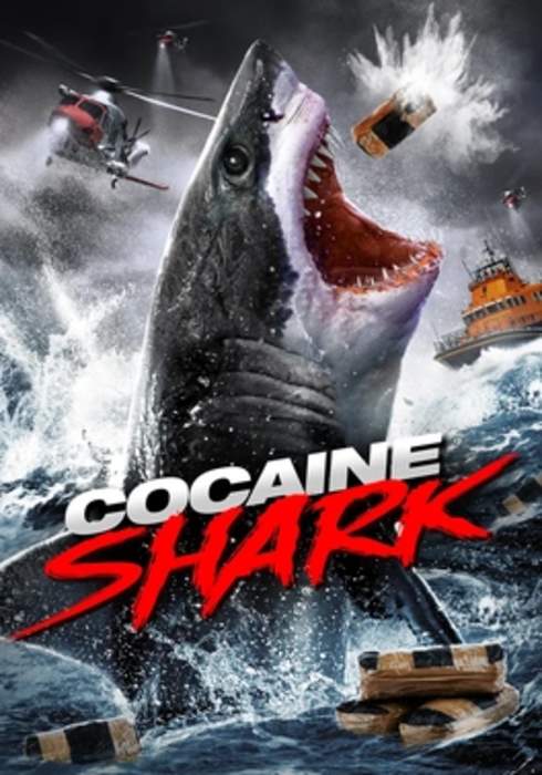 'Cocaine Shark' Creator Says Real-Life Cracked-Out Sharks Are Great Promo