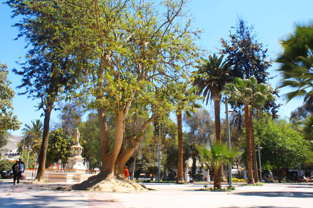 Copiapó