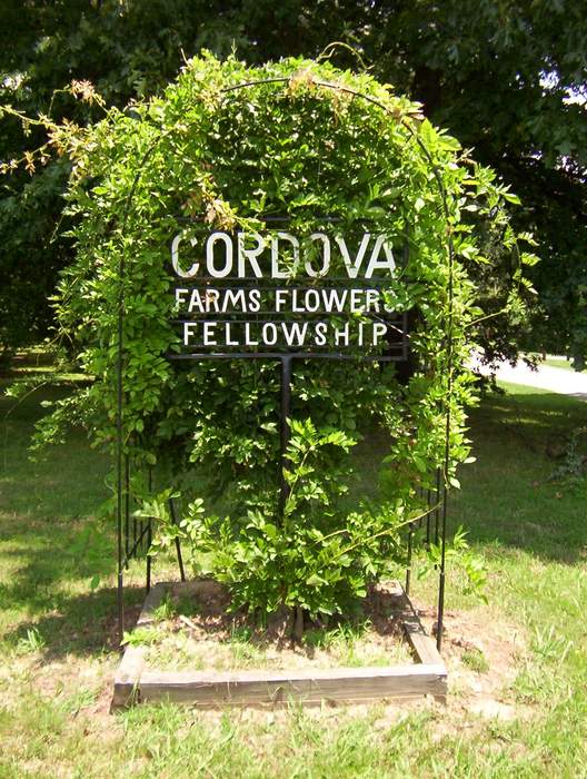 Cordova, Tennessee