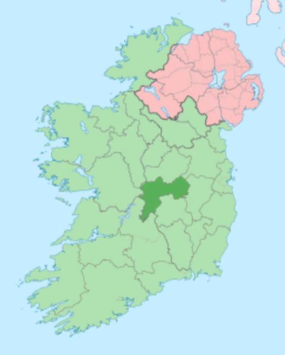 Woman dies in 'violent incident' in County Offaly