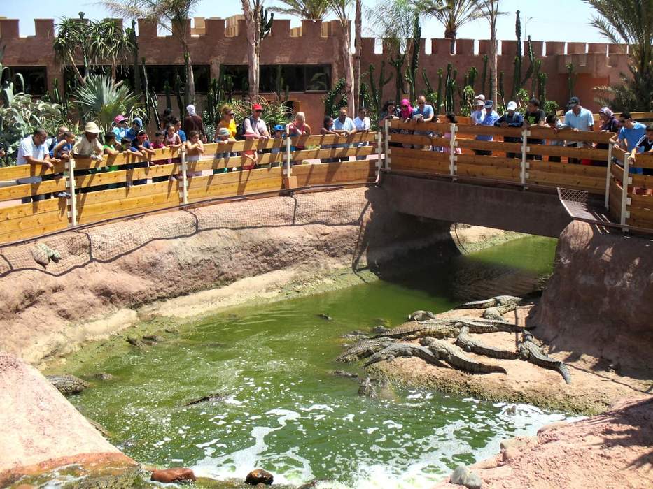 Crocoparc Agadir