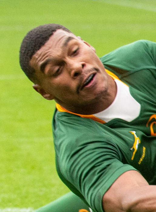 News24.com | Damian Willemse's Cape future still in doubt as Bulls keep up the hunt