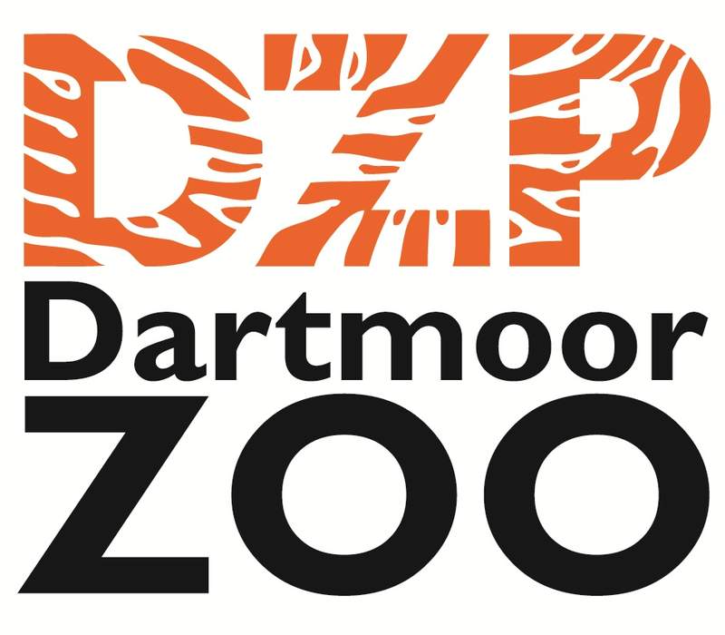 Dartmoor Zoo's rare leopard a hit on 'dating site'