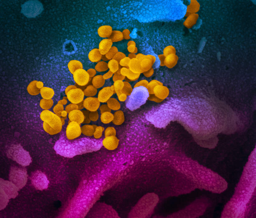 UK scientists begin work on defending against new pandemic caused by 'Disease X'