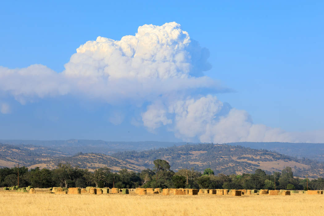 Dixie Fire ravages through northern California