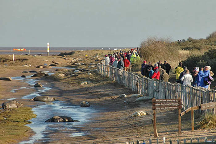 Donna Nook