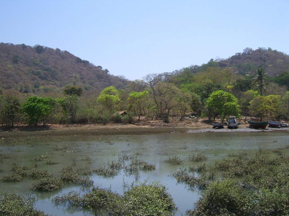 Elephanta Island