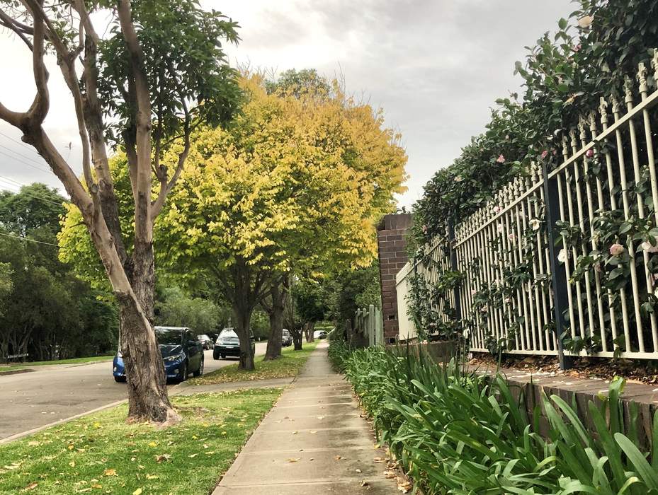 Epping asylum protests must be brought under control, council leader warns