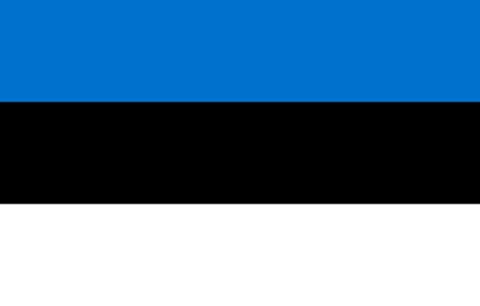 Ukraine, economy top the agenda in Estonia vote