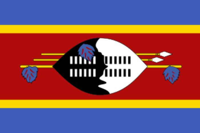 News24.com | Eswatini MPs arrested on terrorism charges, say activists