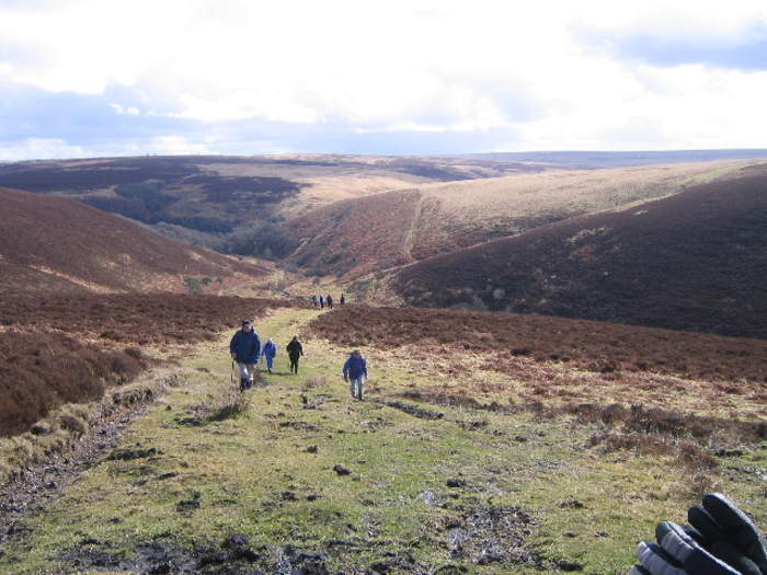 Exmoor