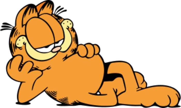 Garfield (character)