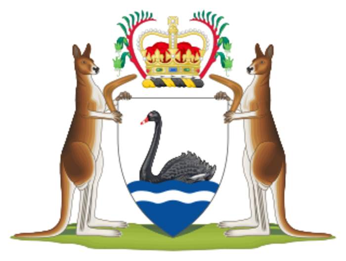 Report 'not binding' to WA euthanasia bill