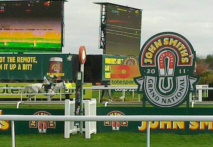 Grand National: BHA condemns protests & announces analysis of horse deaths