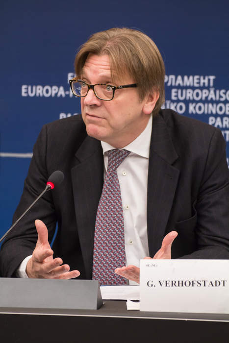 'People like Europe, they have a European dream', says MEP Guy Verhofstadt