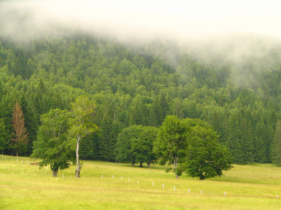Harghita County
