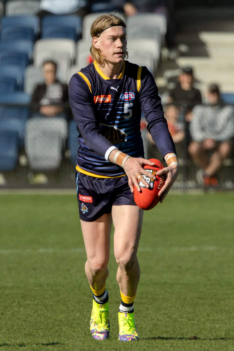 Why Harley Reid could prove to be football’s biggest bargain