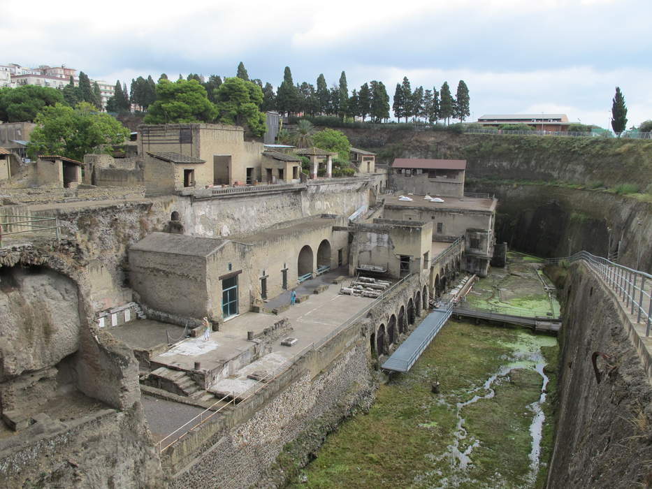 Vesuvius ancient eruption rescuer identified at Herculaneum, says expert