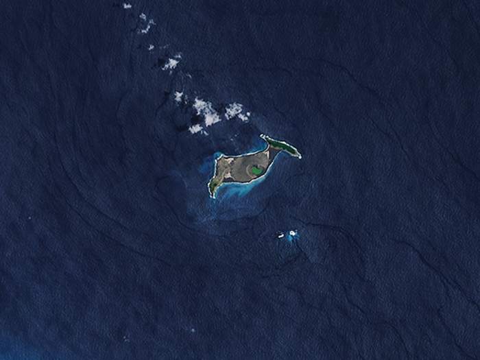 2022 Hunga-Tonga Eruption Triggered Fast And Destructive Submarine Volcanic Flows