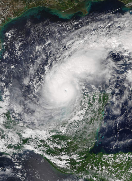 No Pets Left Behind: How a Dog’s Hurricane Rescue Changed Florida Law