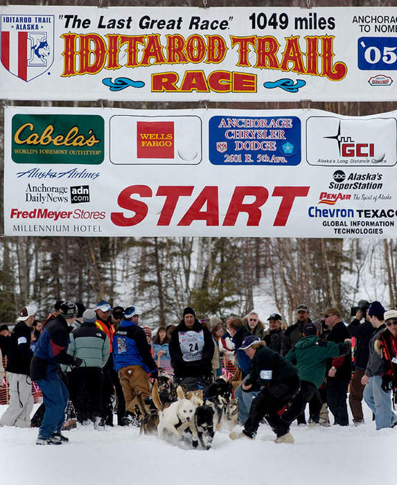Warm weather affects Iditarod sled dog race