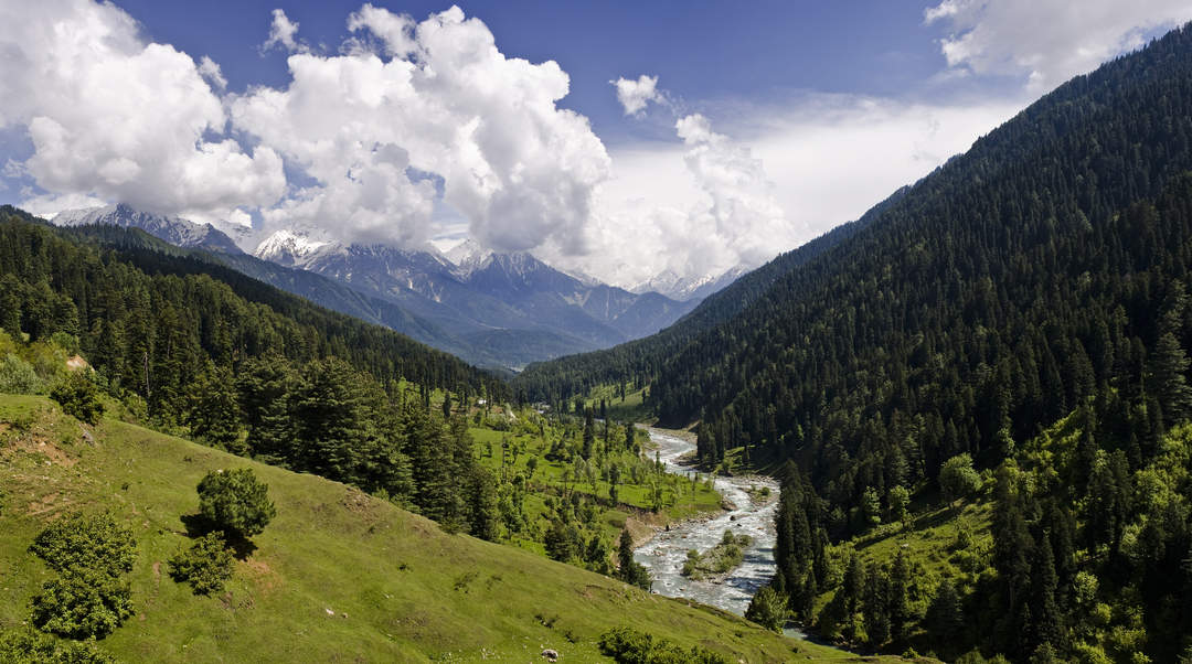 Encounter breaks out between security forces, militants in J&K's Baramulla, one suspect apprehended