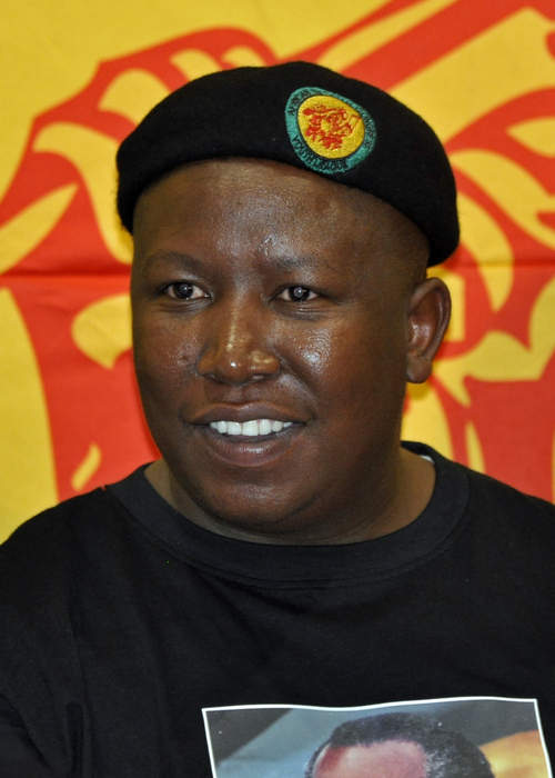 News24 | 'We have done everything humanly possible,' says Julius Malema as EFF wraps up election campaign