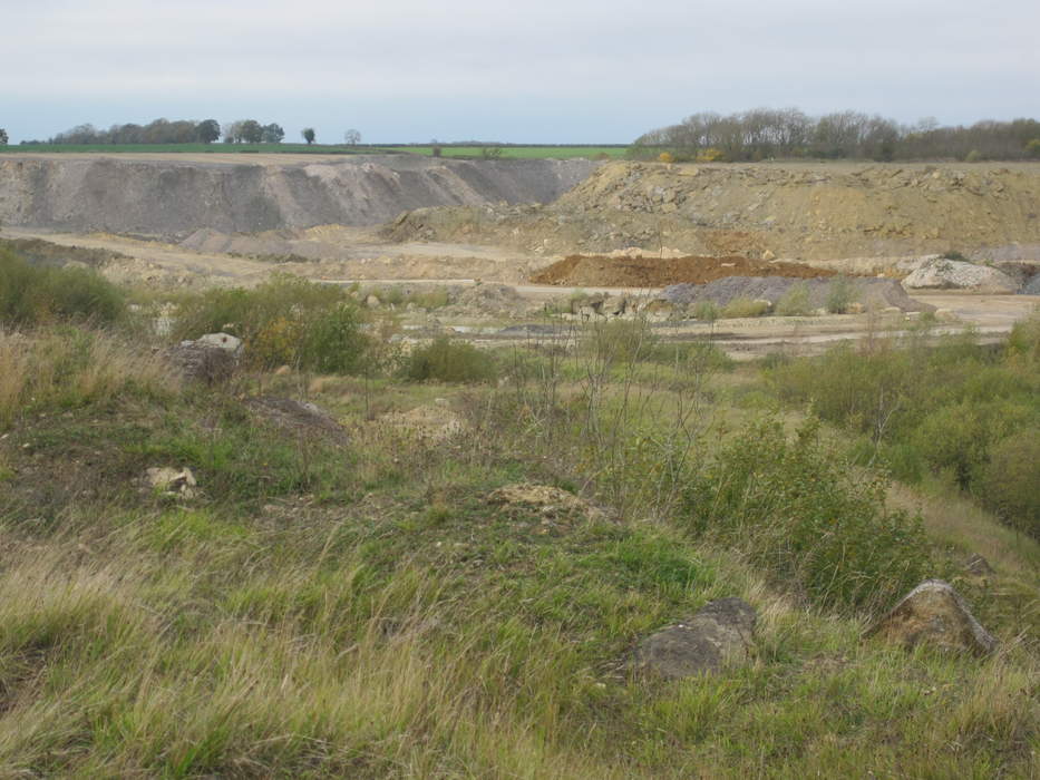 'Record' number of glow-worms found at quarry