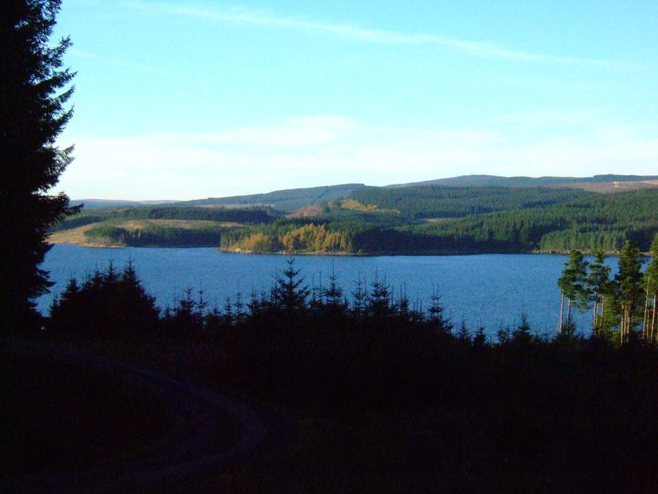 Kielder Forest chief issues chainsaw warning after storms